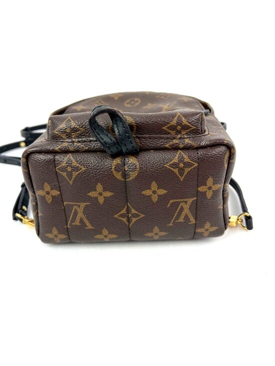 Louis Vuitton Palm Springs Mini Monogram Backpack Bag main image 4